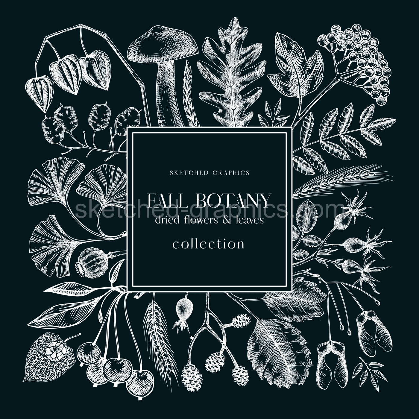 Autumn wreath with fall leaves and dried flowers. Thanksgiving banner design. Fall card or invitation. Sketched dried herbs, falling leaves, mushrooms, seeds frame. Black and white illustration Illustration